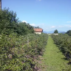 Agriturismo Cascina Marinona Alloggio per agriturismo