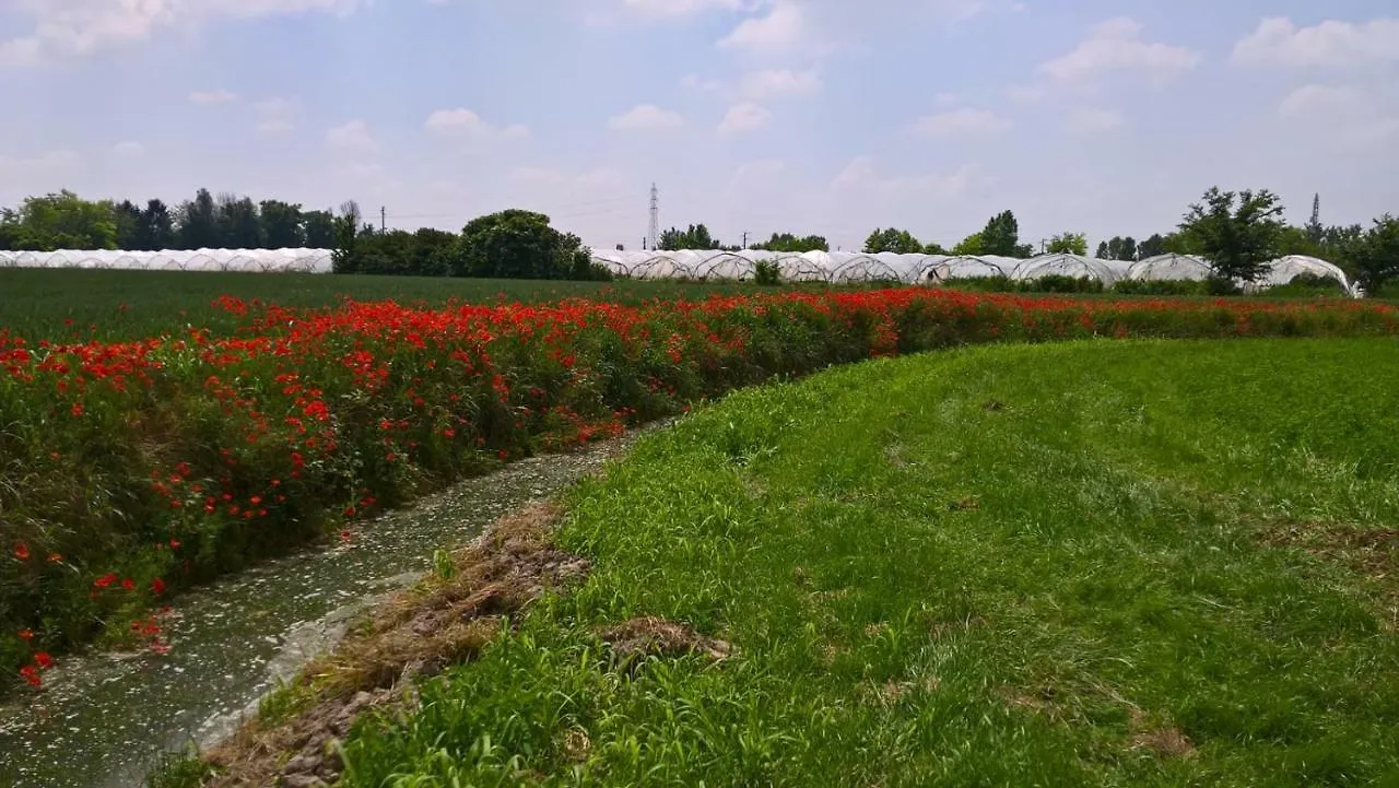 מאנטובה Agriturismo Cipolli E Podo Corte Carlini